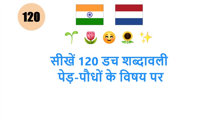 सीखें 120 डच शब्दावली: पेड़-पौधों के विषय पर